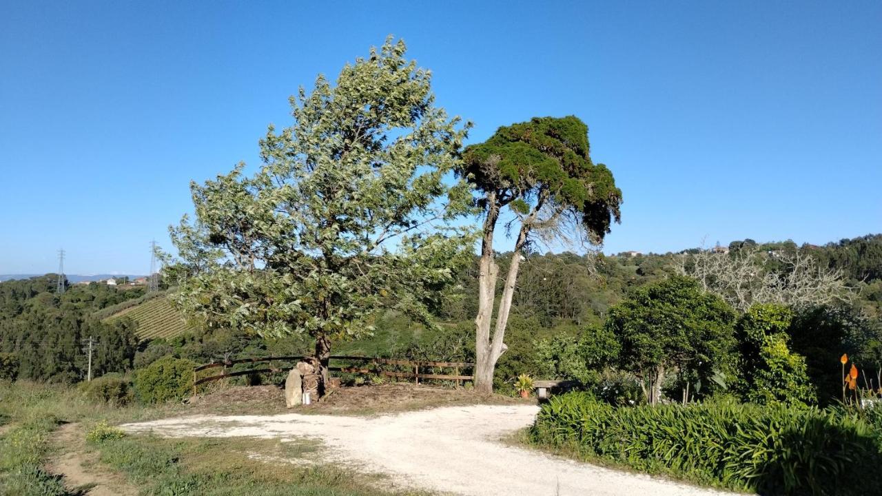 Quinta Do Oratorio Agroturismo Obidos Luaran gambar